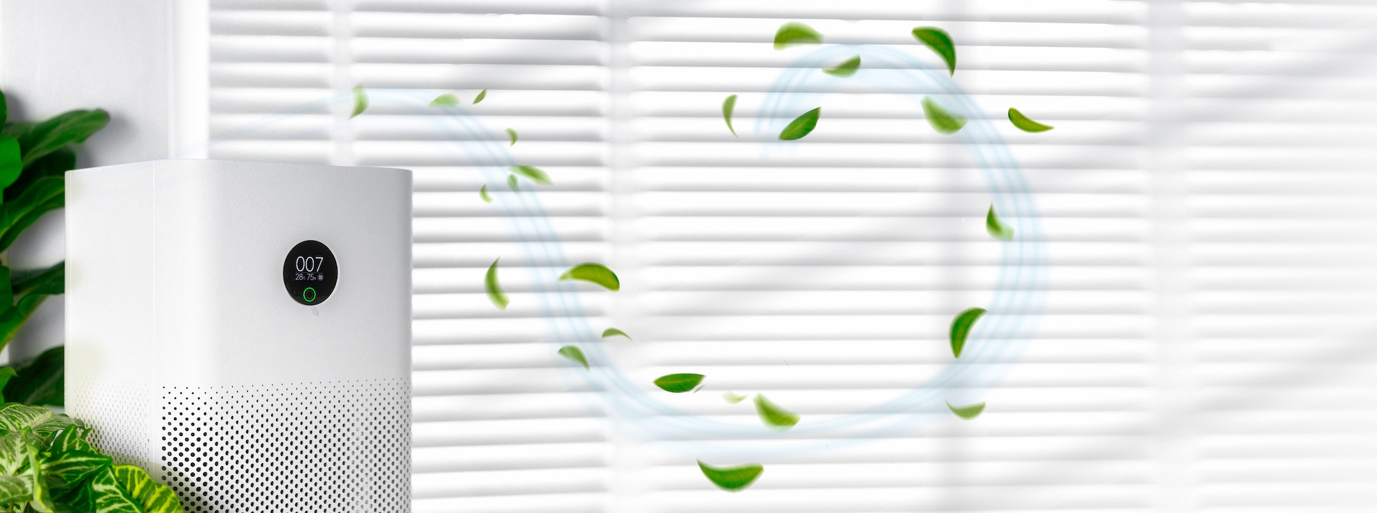 Comment purifier l'air de sa maison de manière efficace