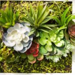 jardin verticale