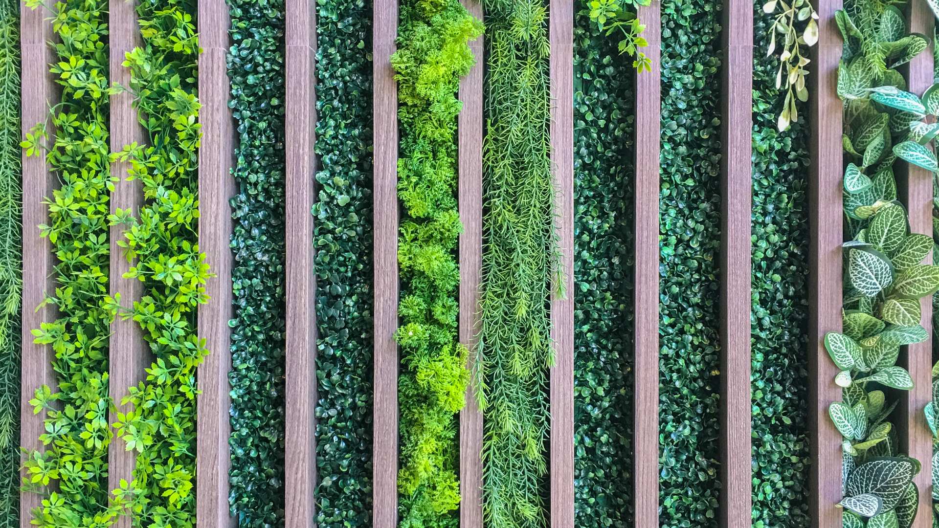 jardin verticale
