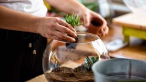 terrarium diy