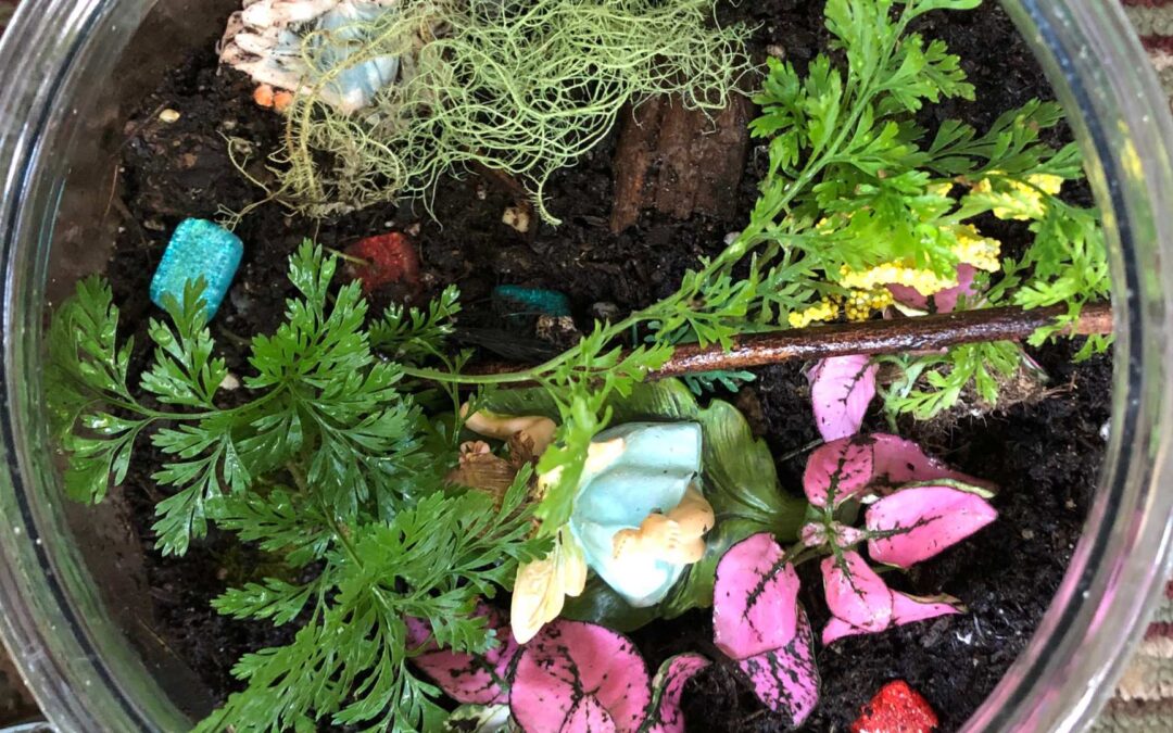 Comment créer un terrarium soi-même avec des fournitures de Jardiland