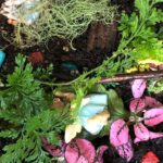 terrarium